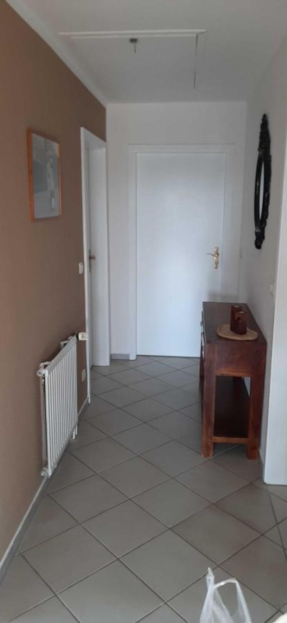 Ferienwohnung Blütenblick Bachenbrock Exterior foto